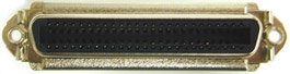 cn50-female